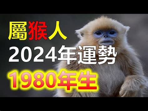 1980屬猴十年運勢|【1980 猴 五行】1980屬猴五行缺木！揭秘金猴命運如何、貴人運。